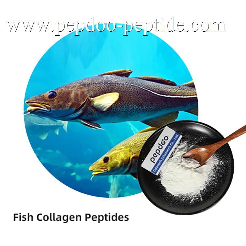 PEPDOO® வகை 1 கடல் கொலாஜன் பெப்டைடுகள்