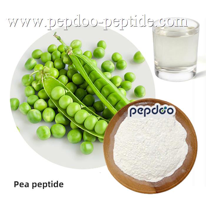 PEPDOO® தெளிவான புரத பட்டாணி பெப்டைடு