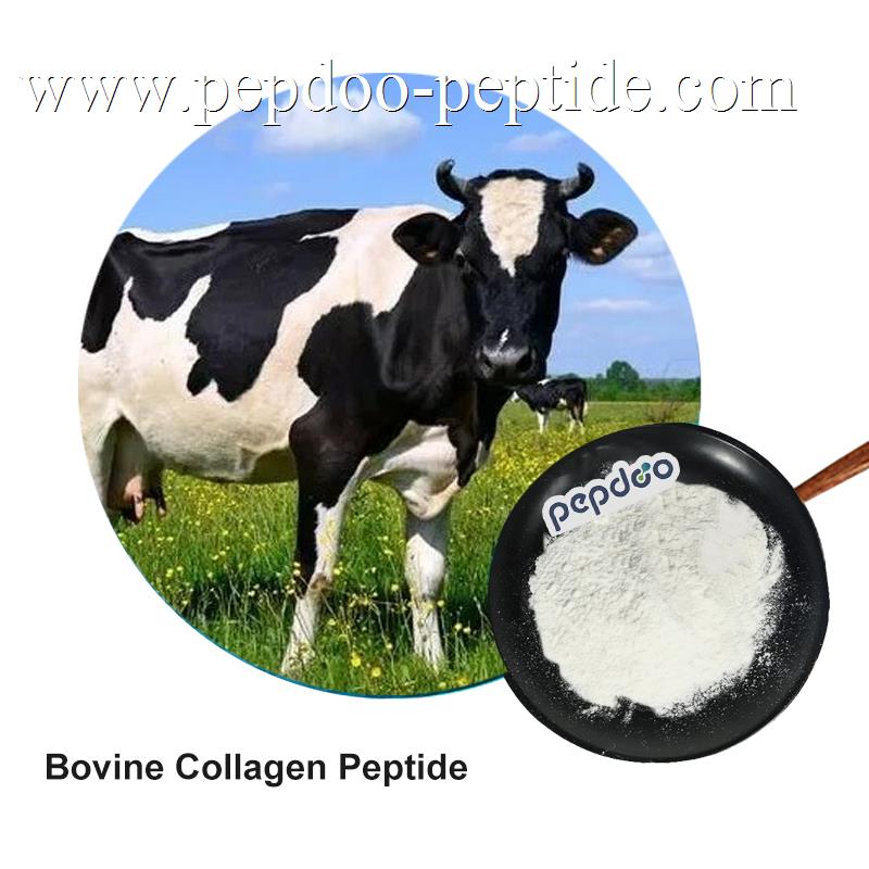 PEPDOO® போவின் கொலாஜன் பெப்டைட் பவுடர்