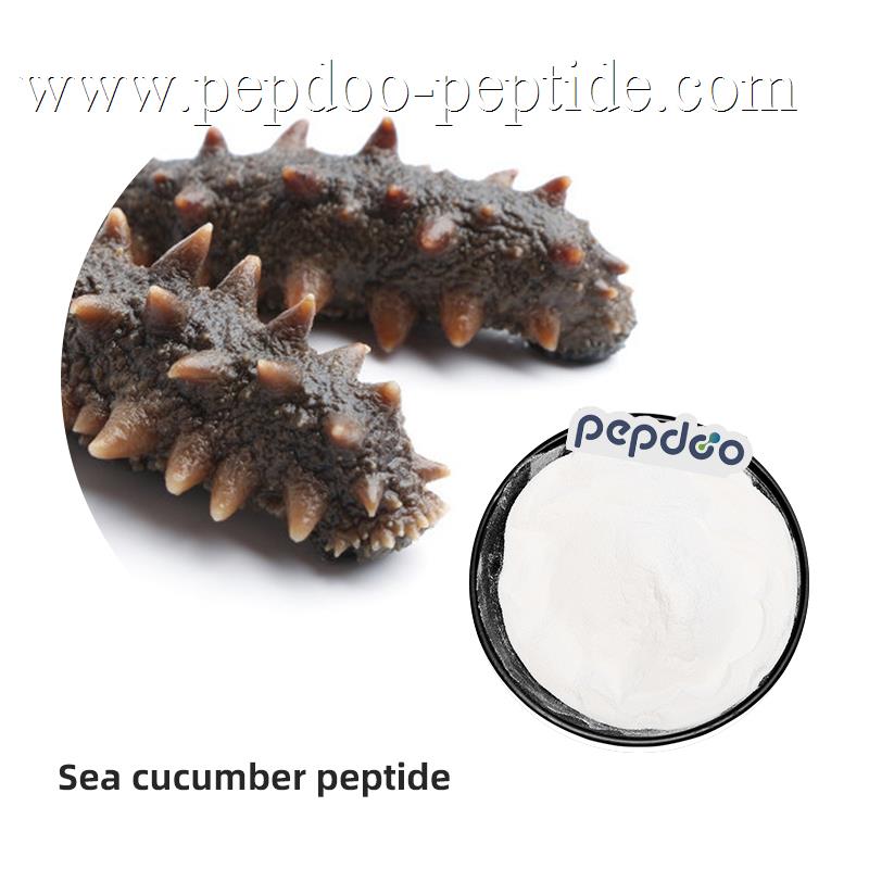 PEPDOO® கடல் வெள்ளரி பெப்டைடு