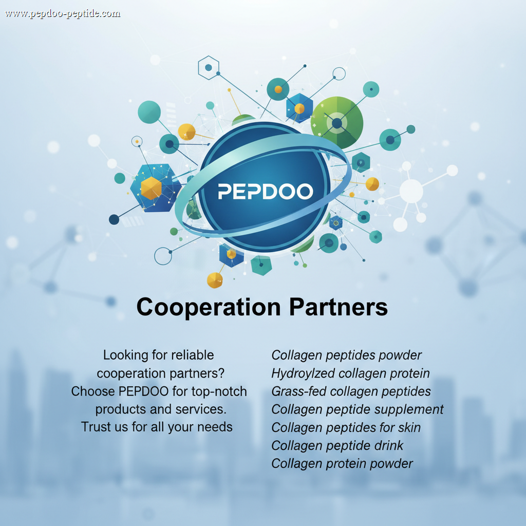 Cooperation Partners